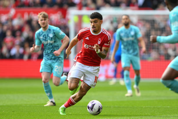 他的评价以 他的评价以